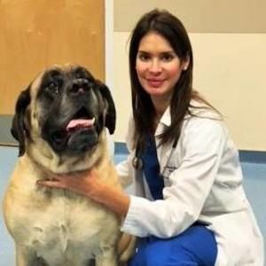 Meet your Posher, Abigail